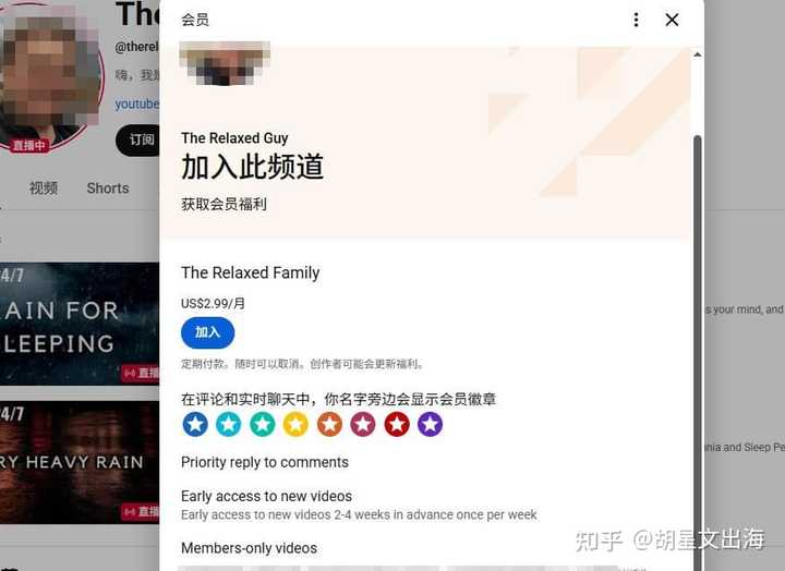 无脸频道会员收入与变现模式
